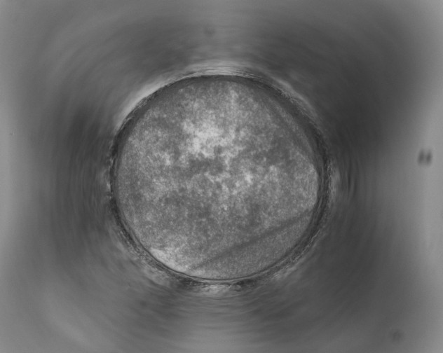 X0000110891166200907161519