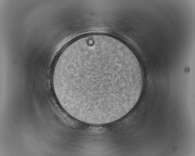 X0000110891168200907161519