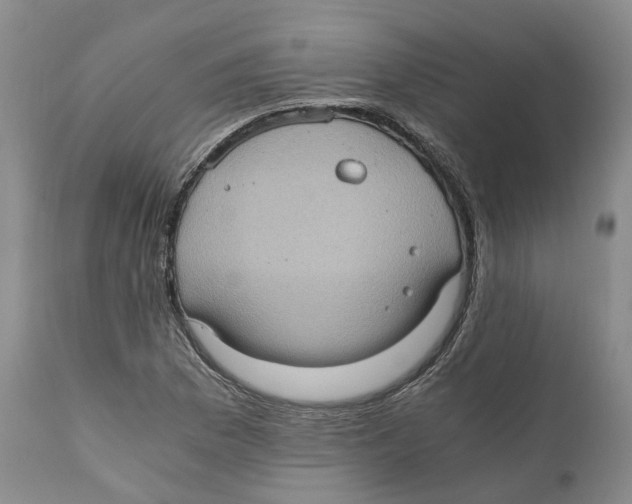 X0000110891169200907161519