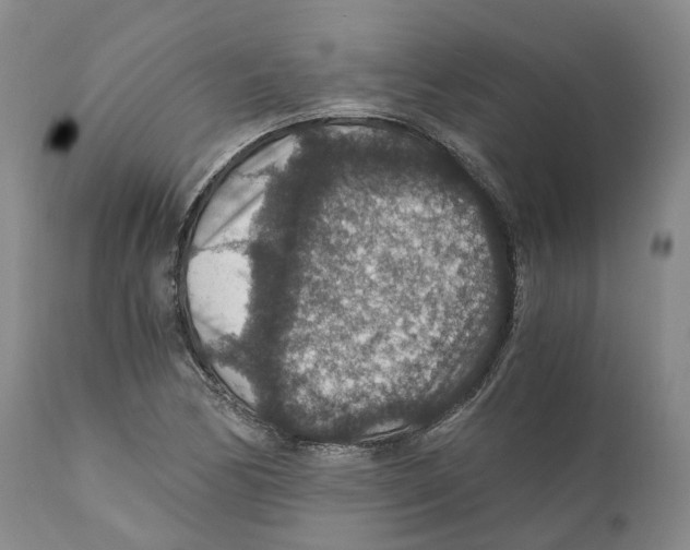 X0000110891170200907161519