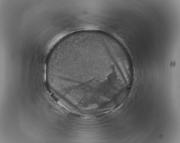 X0000110891171200907161519