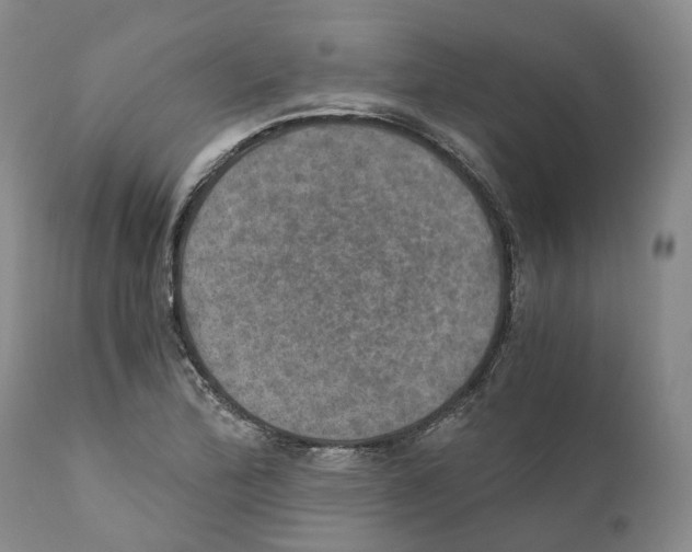 X0000110891172200907161519