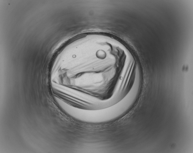 X0000110891173200907161519