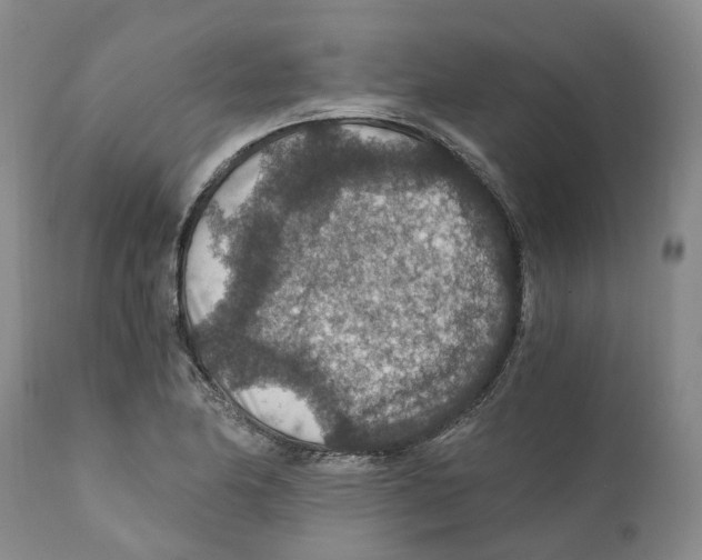 X0000110891174200907161519