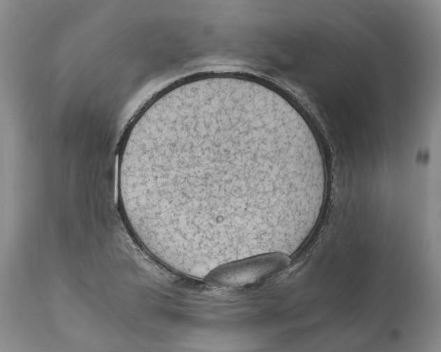 X0000110891175200907161519