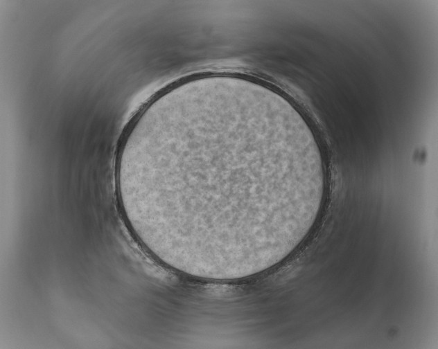 X0000110891176200907161519