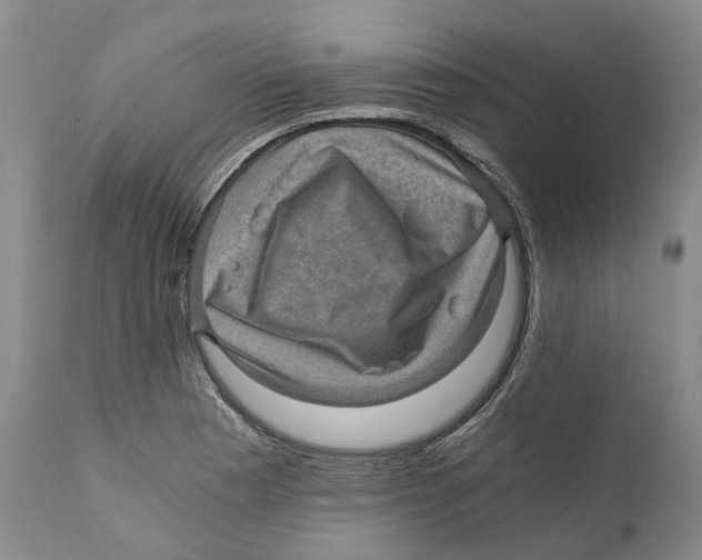 X0000110891177200907161519