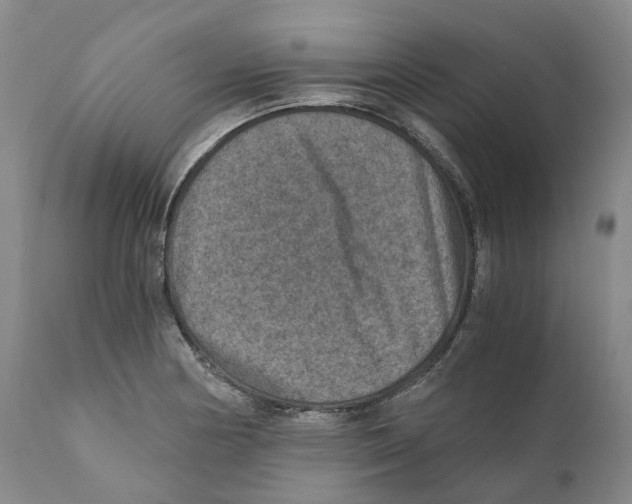 X0000110891178200907161519