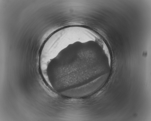 X0000110891179200907161519