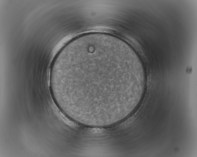 X0000110891180200907161519