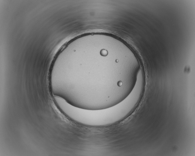 X0000110891181200907161519