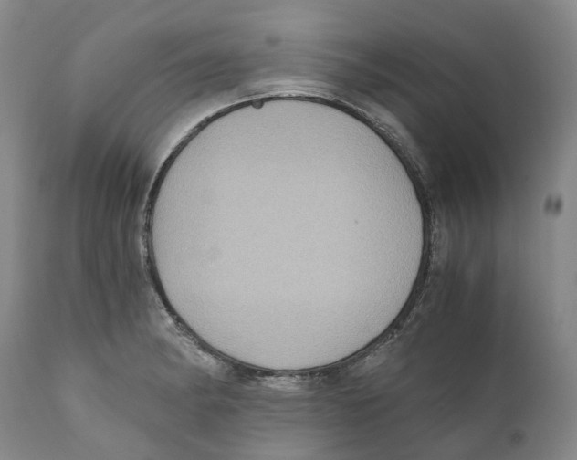 X0000110891182200907161519