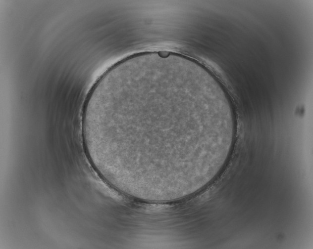 X0000110891184200907161519