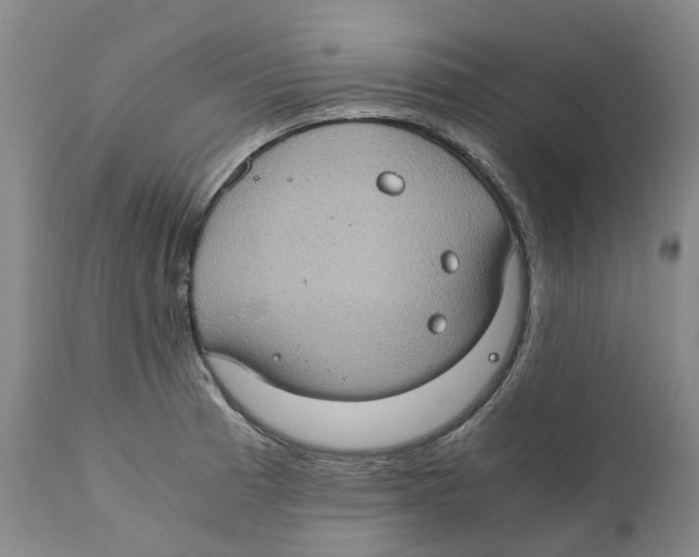 X0000110891185200907161519