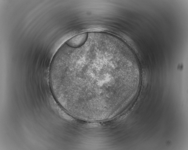 X0000110891186200907161519