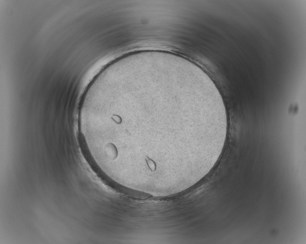 X0000110891188200907161519