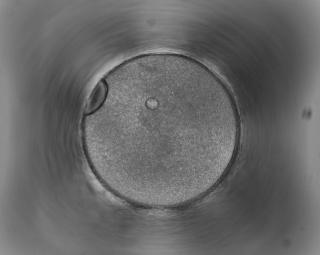 X0000110891189200907161519