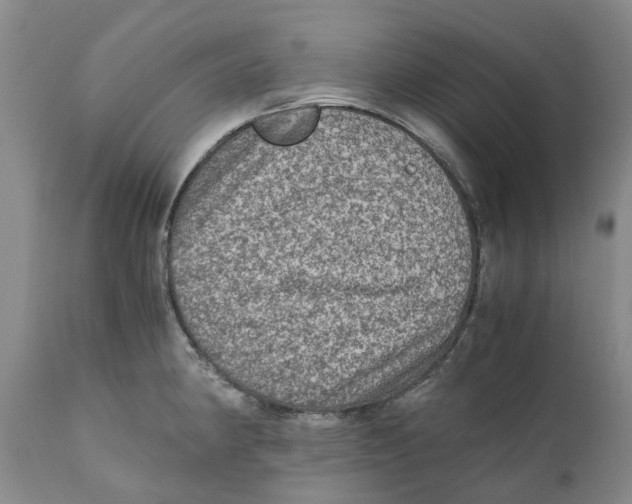 X0000110891190200907161519