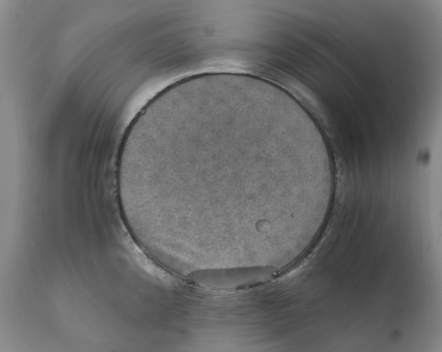 X0000110891192200907161519