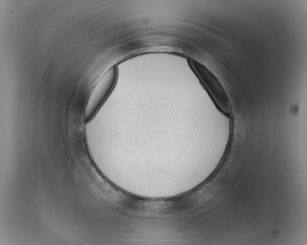 X0000110891193200907161519