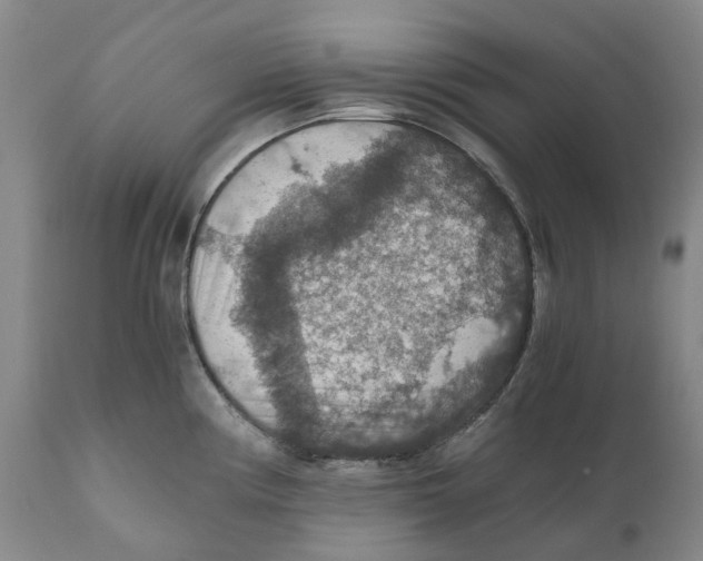 X0000110891194200907161519