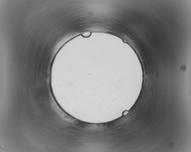 X0000110891195200907161518