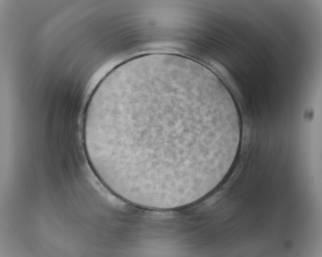 X0000110891196200907161518