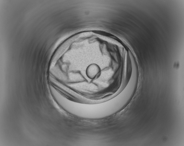 X0000110891197200907161518