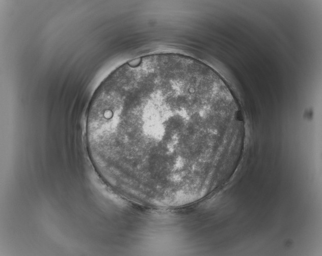 X0000110891198200907161518