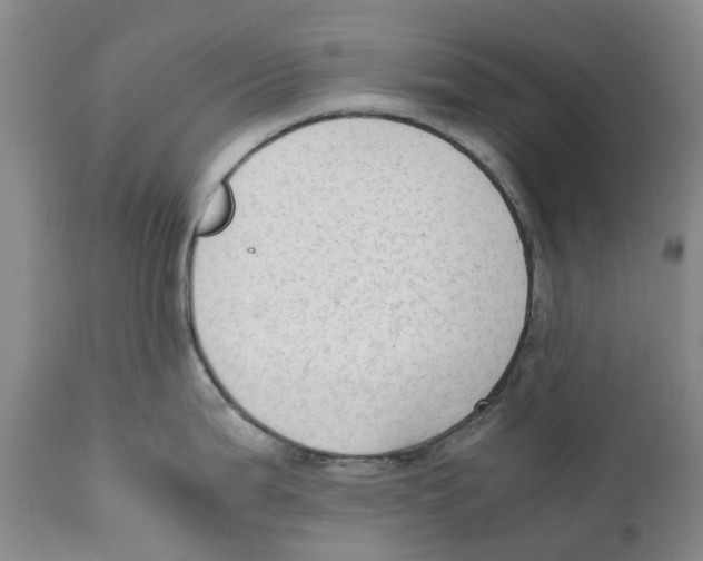 X0000110891199200907161518