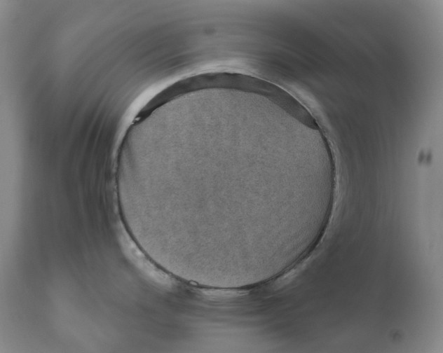 X0000110891200200907161518