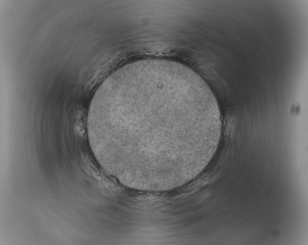 X0000110891202200907161518