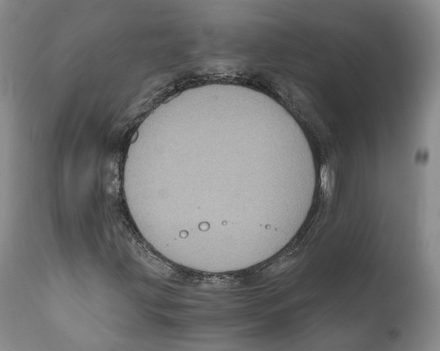 X0000110891203200907161518