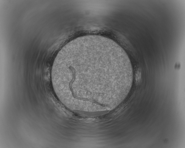 X0000110891204200907161518