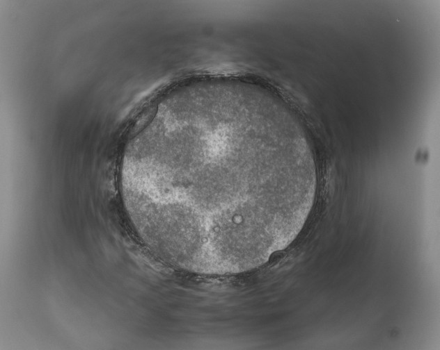 X0000110891205200907161518