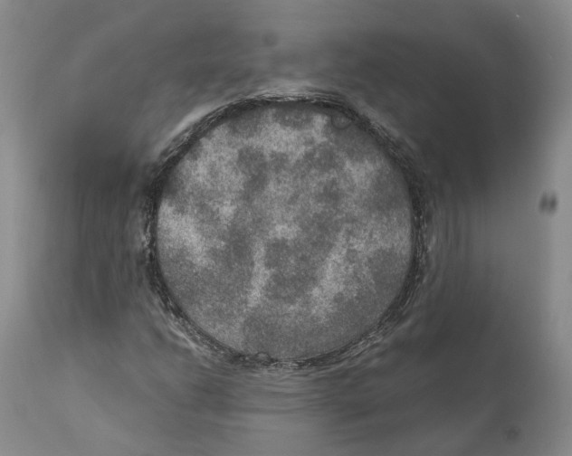 X0000110891206200907161518