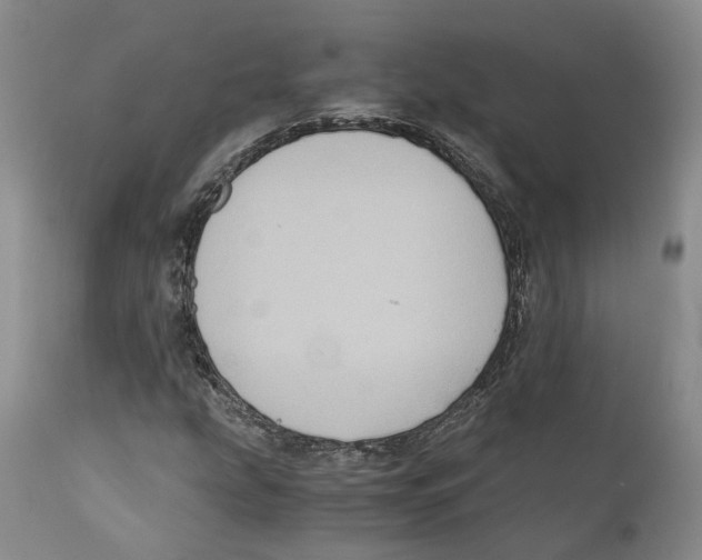 X0000110891207200907161518