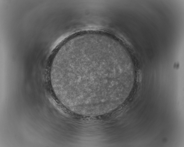 X0000110891208200907161518