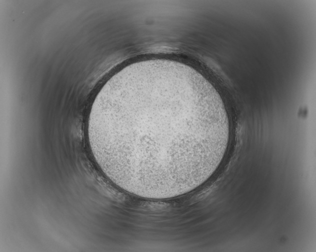 X0000110891209200907161518