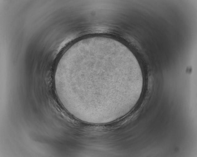 X0000110891210200907161518