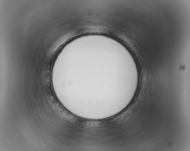 X0000110891211200907161518