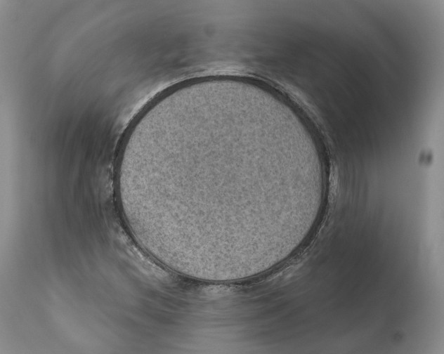 X0000110891212200907161518