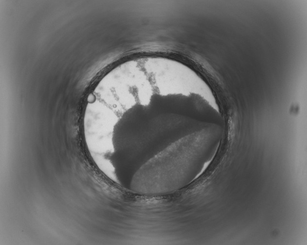 X0000110891213200907161518