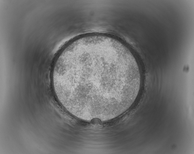 X0000110891214200907161518