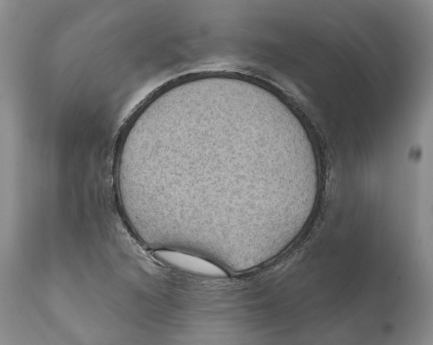 X0000110891216200907161518