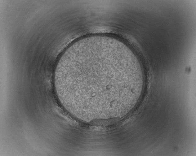 X0000110891217200907161518