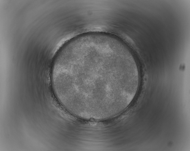 X0000110891218200907161518