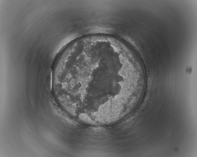 X0000110891219200907161518