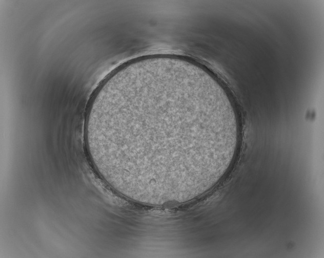 X0000110891220200907161518