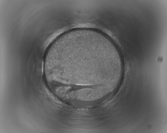 X0000110891221200907161518